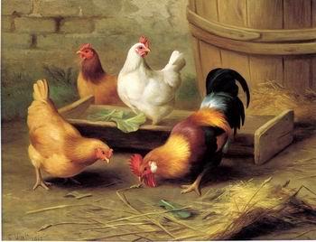 unknow artist Cocks 134 Spain oil painting art